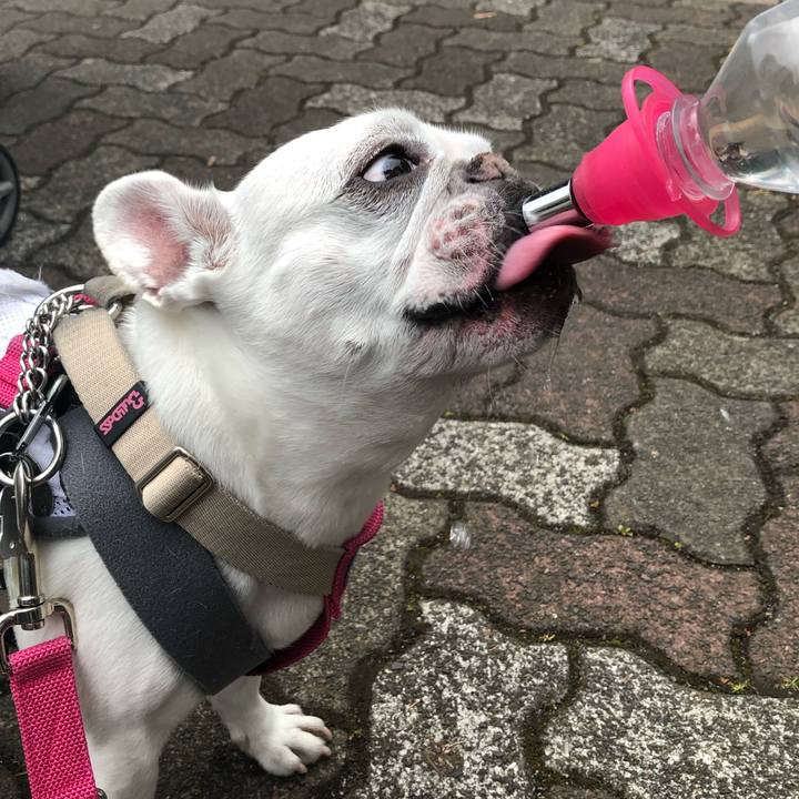 099a2de8 eb99 4b6f 82d0 0c7d377f0e9c 1684045353685