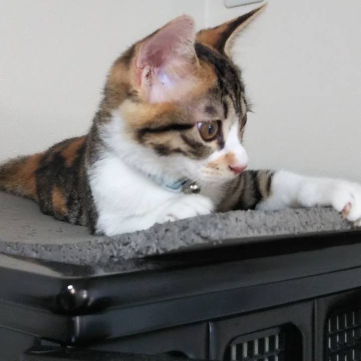 099a6719 ef3e 40f8 b265 97c7cc2011eb 1628547298303