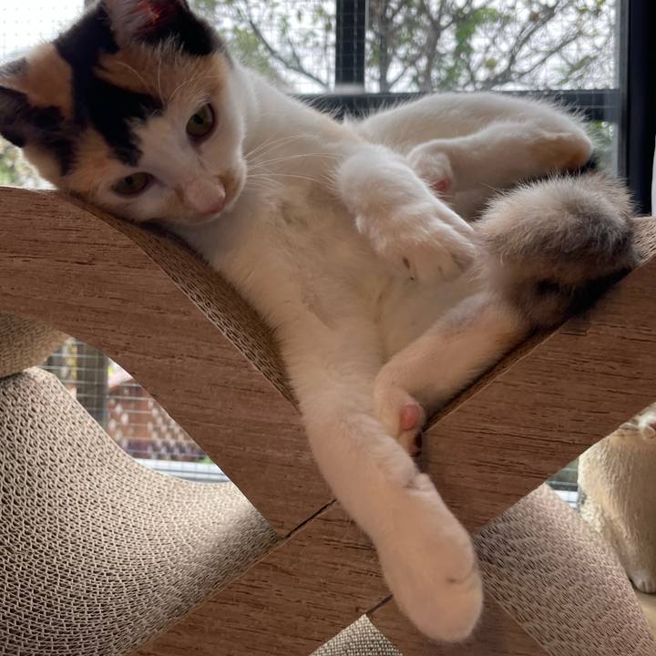 099abab1 0895 455e aeba 0e464ab78bf7 1665712563699