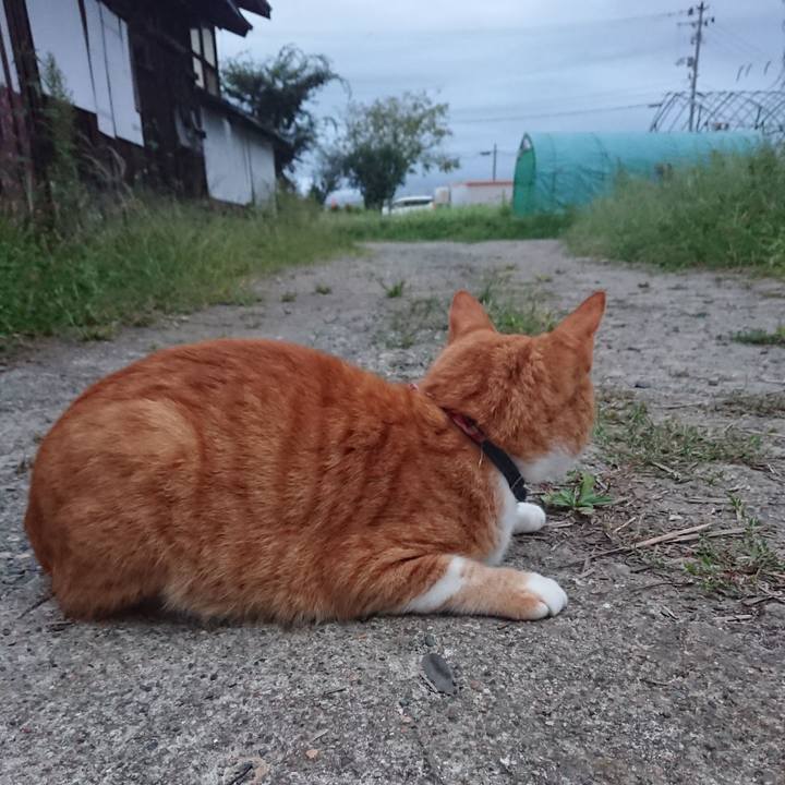 099acc6f 1a29 4635 b723 de5676774174 1600419008539