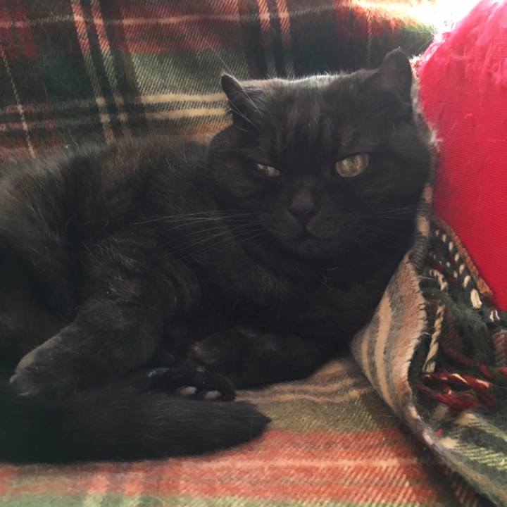 099ad628 b1a0 4ec9 88da 56bd9ff8ce2b 1541215176992