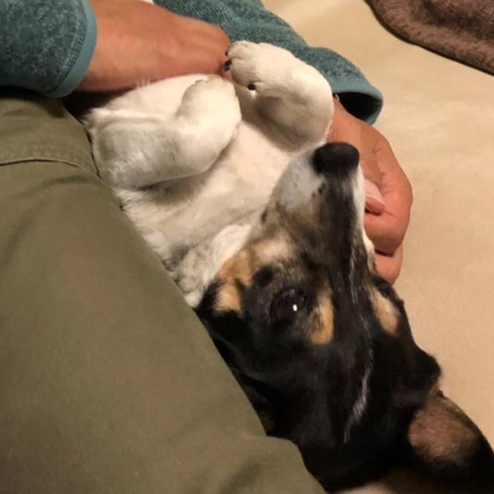 099b0dff 4c3c 48f6 a65e c4a68443092f 1571573044625