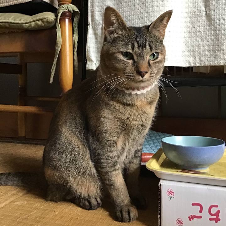 099b8598 a338 4677 9964 d30a98b32d9d 1653963007244