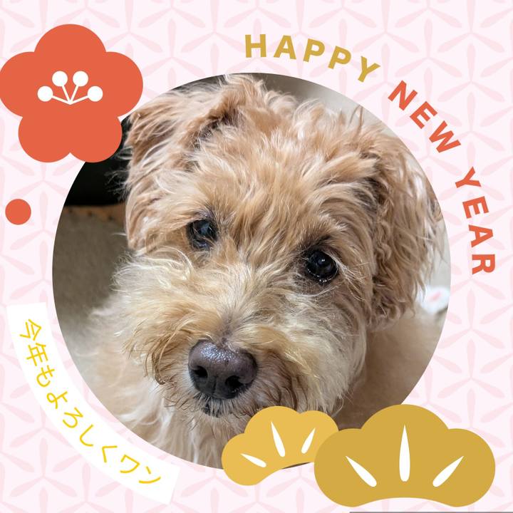 099b8726 eed4 4552 a868 ce8a4f40e13d 1735683192294