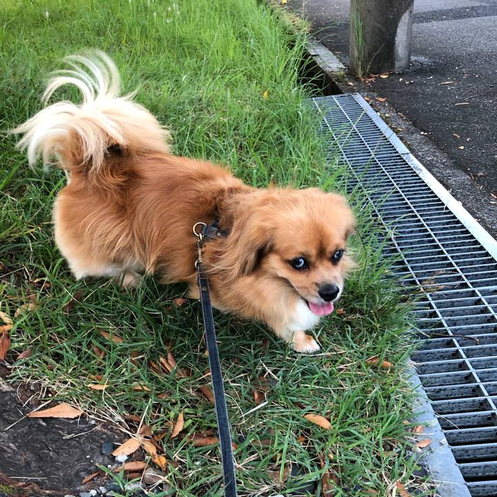 099b88d2 e394 4110 9428 1388bc13811a 1568242291760