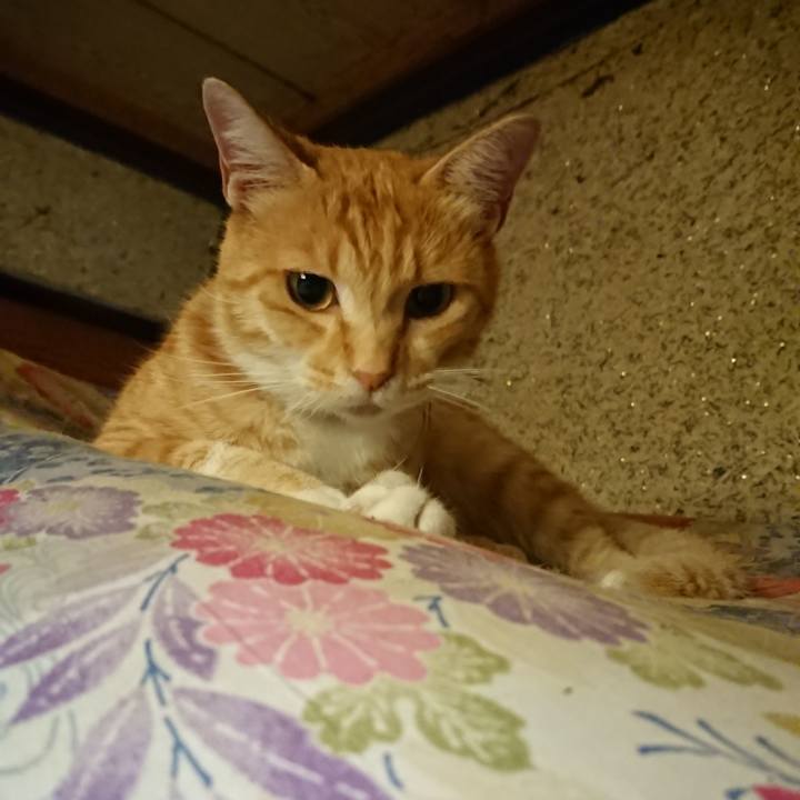 099b927e 4382 4089 b258 cb1741ff64ed 1594214496141