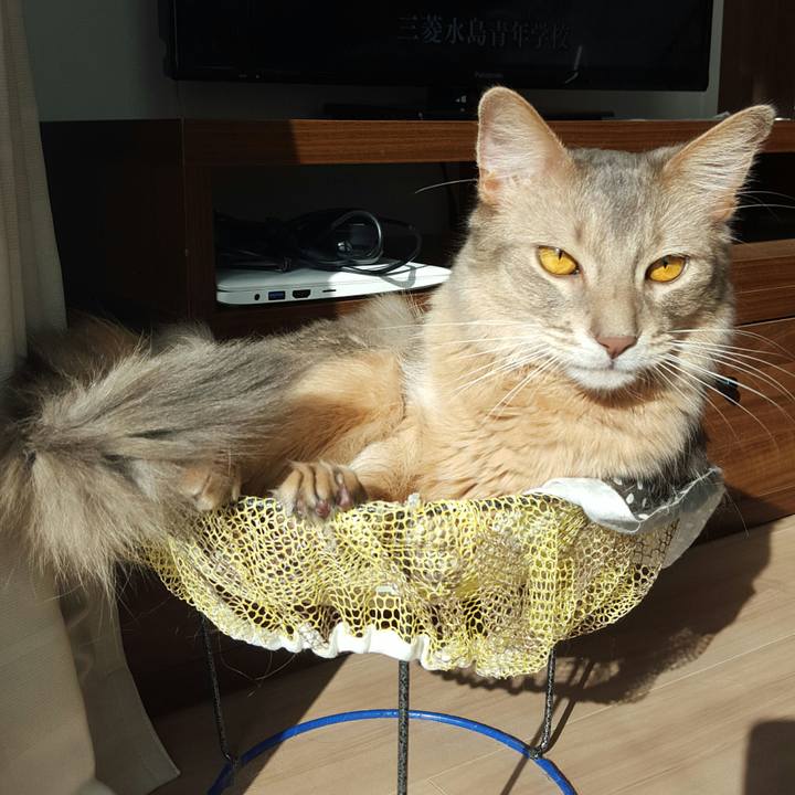 099bab11 ff89 4a20 8bc0 95947c933168 1515807210773