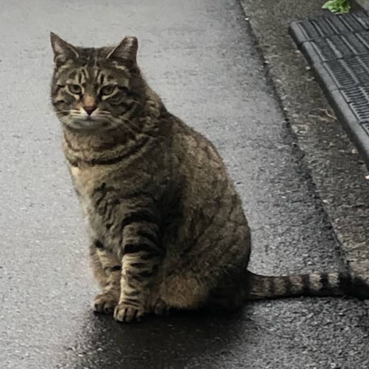 099baded 0cb7 4cd1 b581 9c606c6c12a5 1553128849780