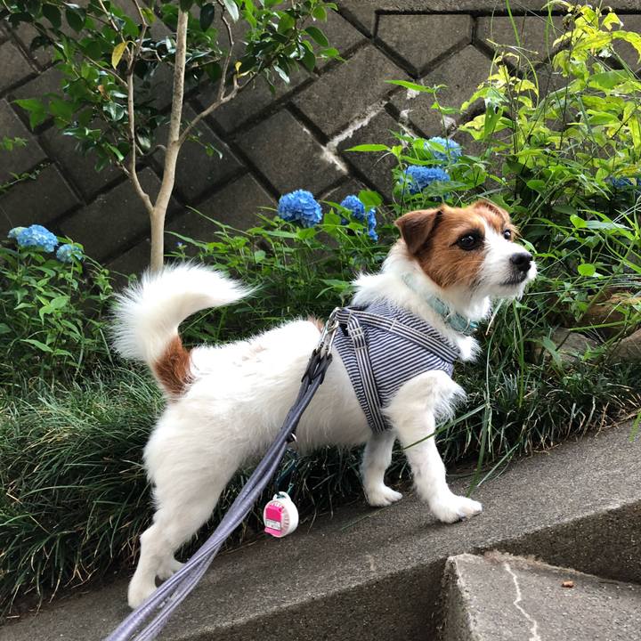 099be931 2975 4e14 b459 94aba0610248 1527974252799