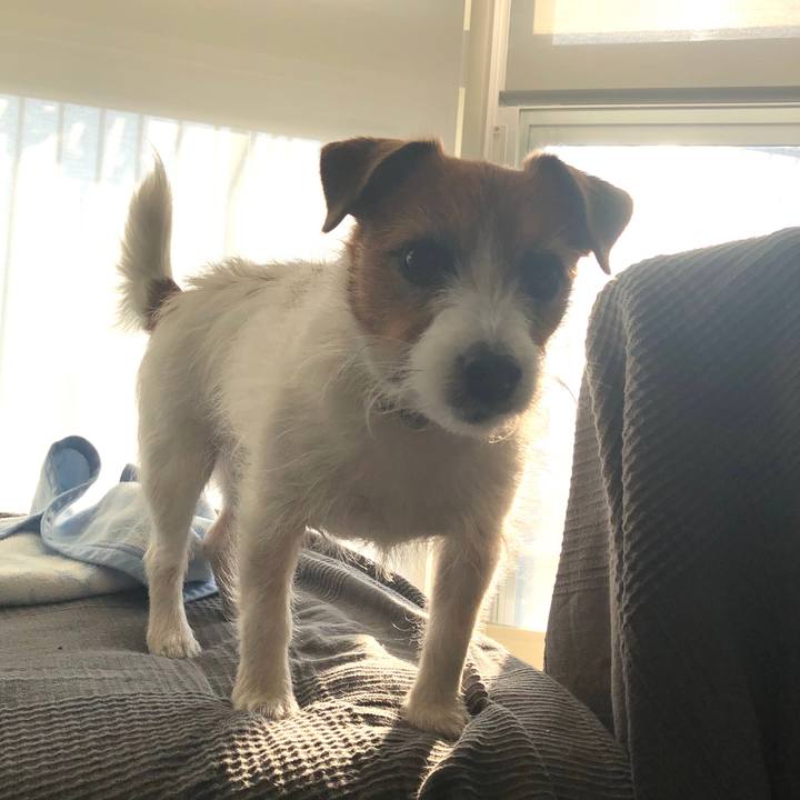 099c21c7 940d 4069 b5da 0c0054224d5a 1586426352170