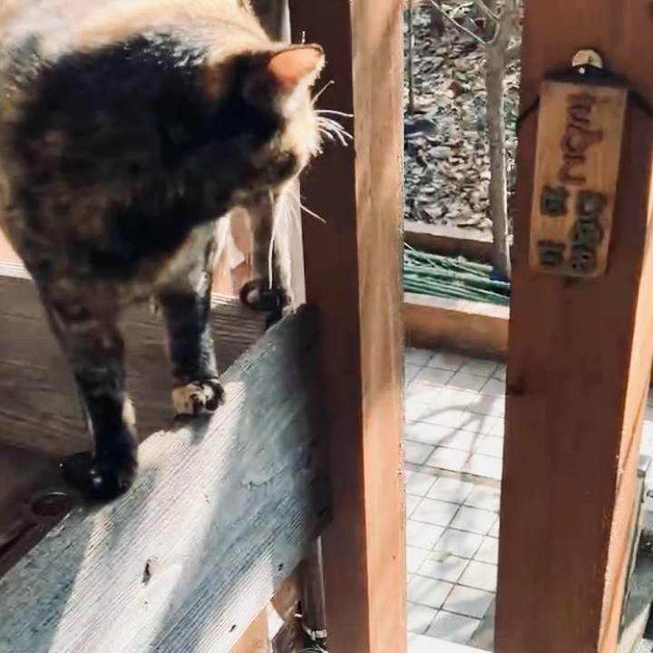 099c45a4 ac55 44a7 91db 9371c0eeb641 1730689884210