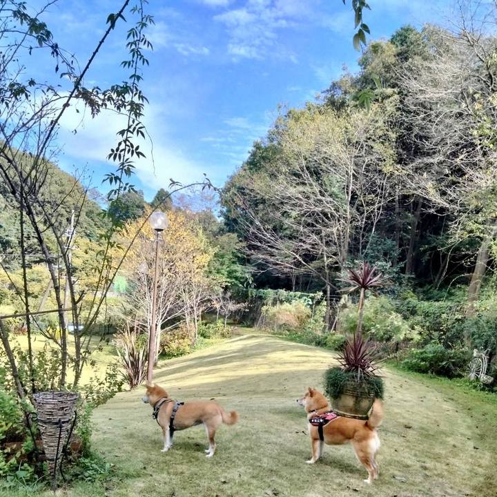 099cabee a22d 41d2 8e8c 19fdd4874ac4 1698057175099