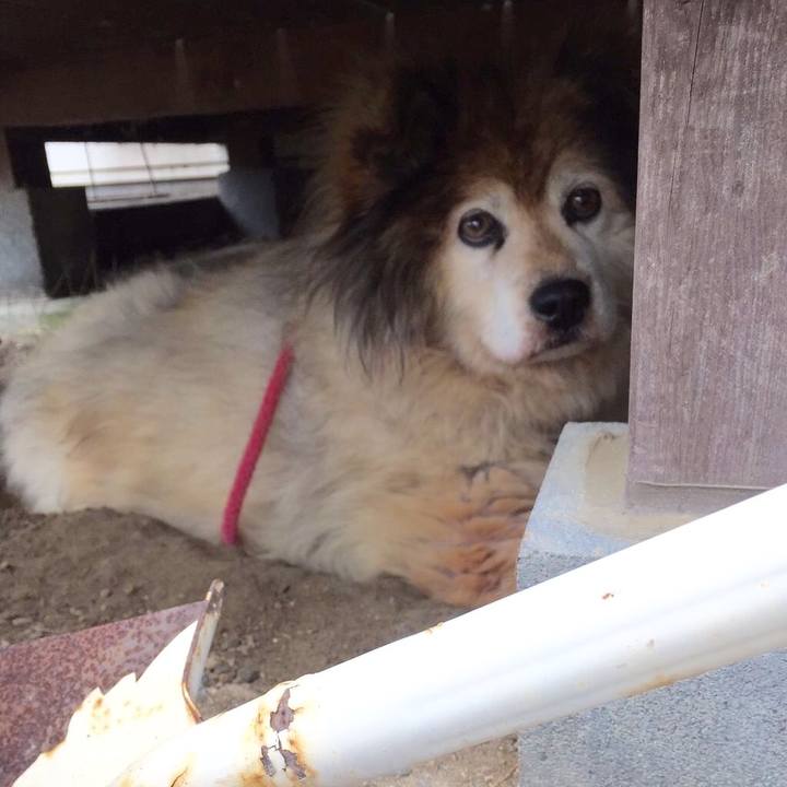 099ce278 5037 4106 bdd3 58e618803c23 1582174874026