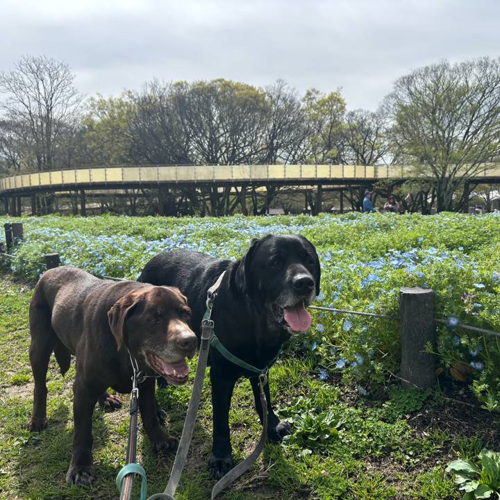 099d050b 9a92 4d5f 9d46 6e0a05c8bfa7 1775567149944