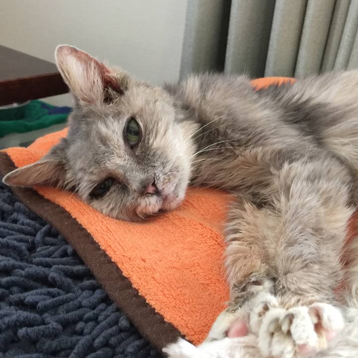 099d0dde 8835 40a6 b9fb f7948b5702bb 1582354129982