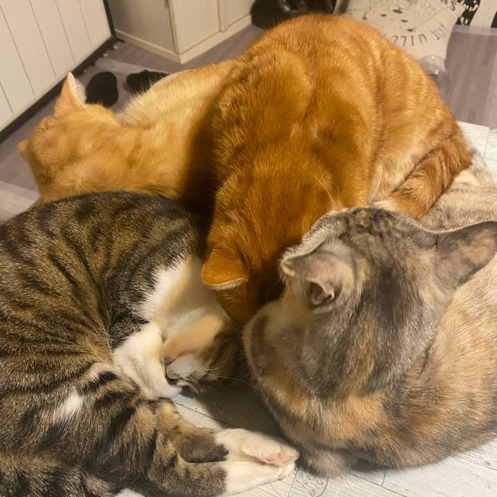 099d298c c927 4ab1 985a 2c4b96daab15 1611689750924