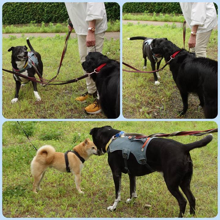 099d56c1 f807 4f5f 97ae 035cb43b2f5b 1748820623576