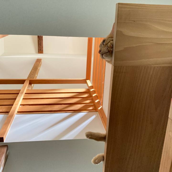 099d76ff b873 459b 927f 032f15a06570 1723681564124