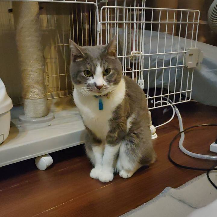 099d83bf 9b5f 41db 8a03 8cdfc47bbdb1 1677243752175