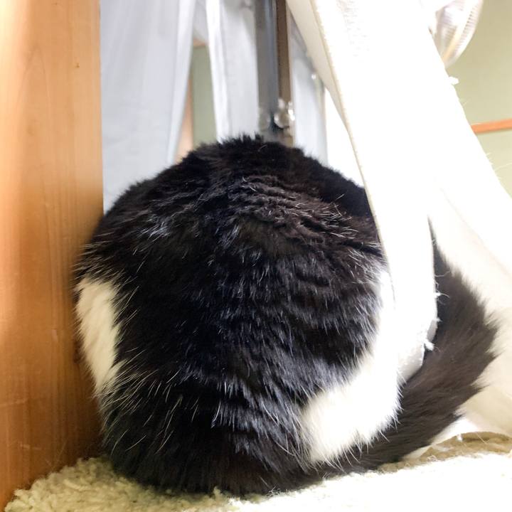 099df5c1 ae2e 4814 b6a4 b7f823aab2e9 1575855263081