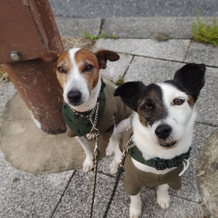 099e03d1 807f 489f ab0a 0ffb9575b86f 1745618405421