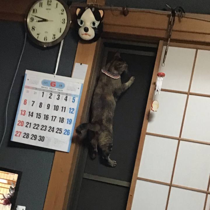 099e3ef5 083f 49b6 b25e 4ac330b663b6 1623930629936