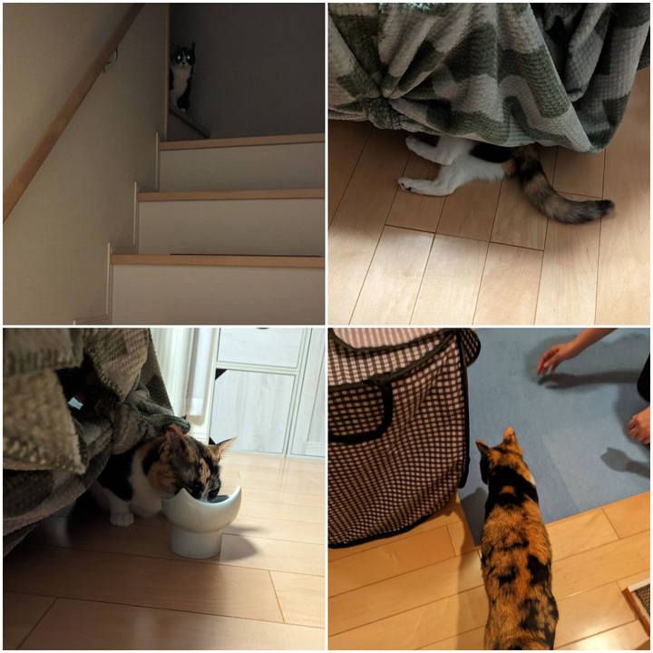 099e7425 7dd6 44ca a6b4 ee81faacf325 1719381197153