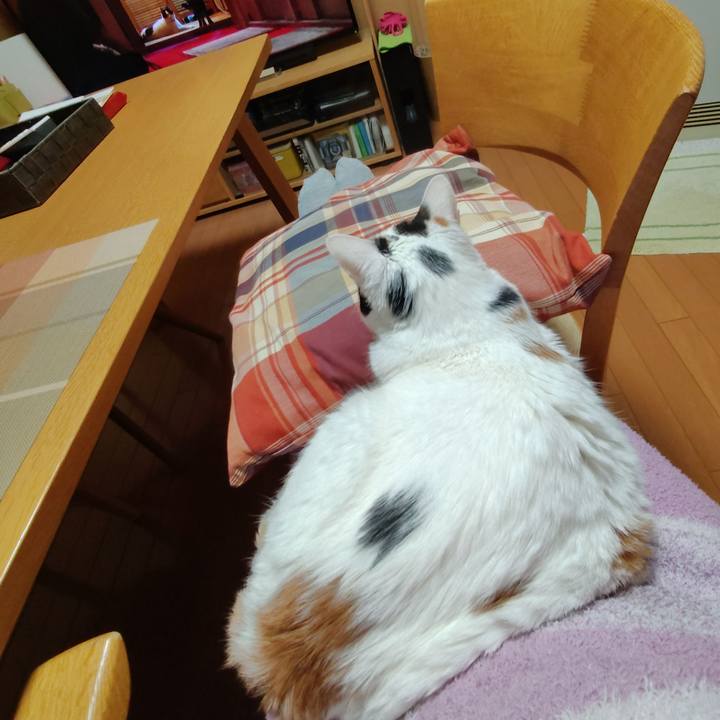 099e9851 cbac 4d47 8524 094f68818d67 1766142707610