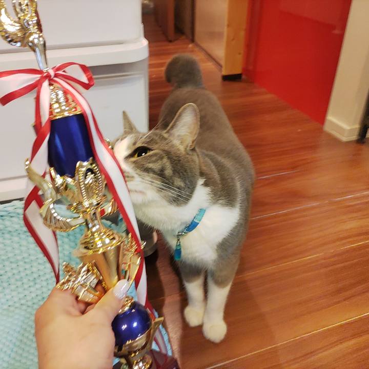 099eae36 5529 43c1 a744 9f7a100fb82b 1653213704355