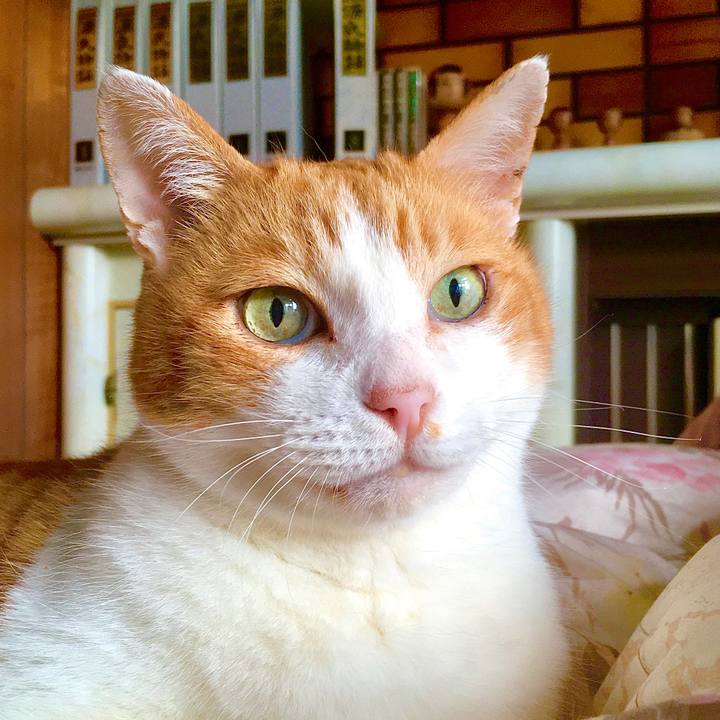 099ecfb8 e11b 4f35 a109 bbc343e3dc7d 1586847775714