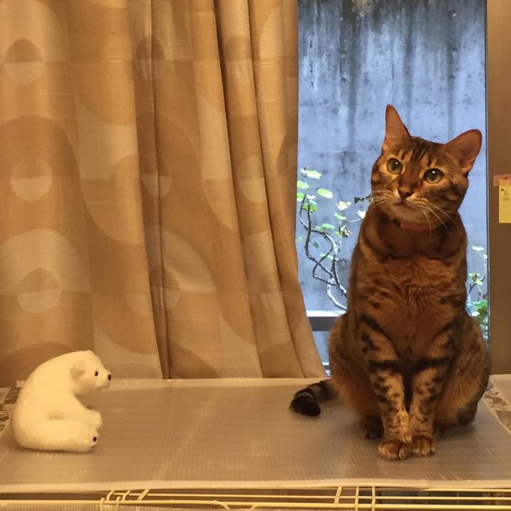 099eedf0 f196 498b b3c1 39b9d5a18cb3 1534801541941