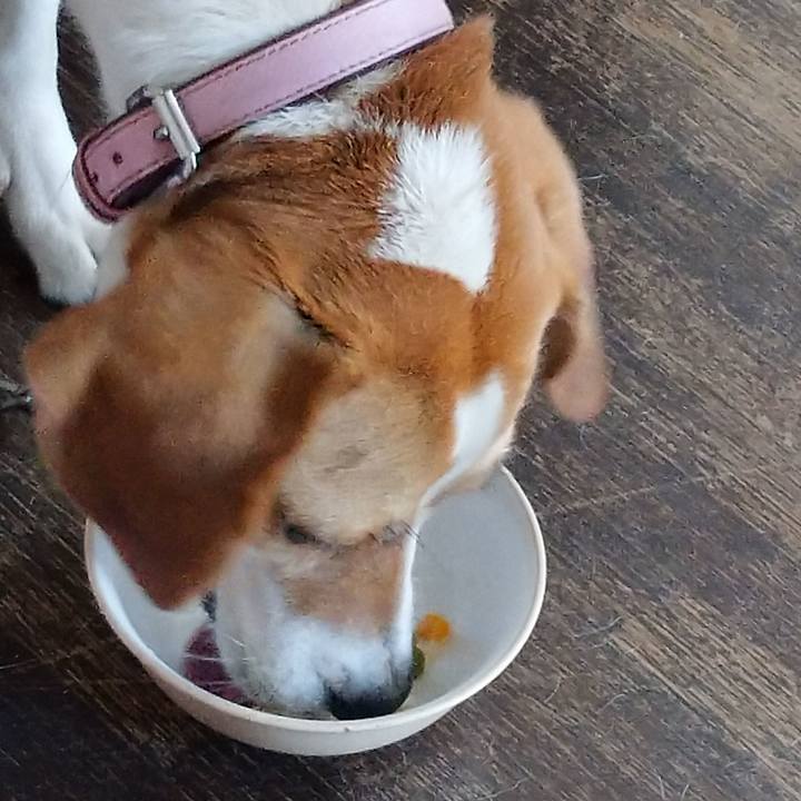 099ef7e1 e6eb 421d b8be dc369c369ad8 1592988451724