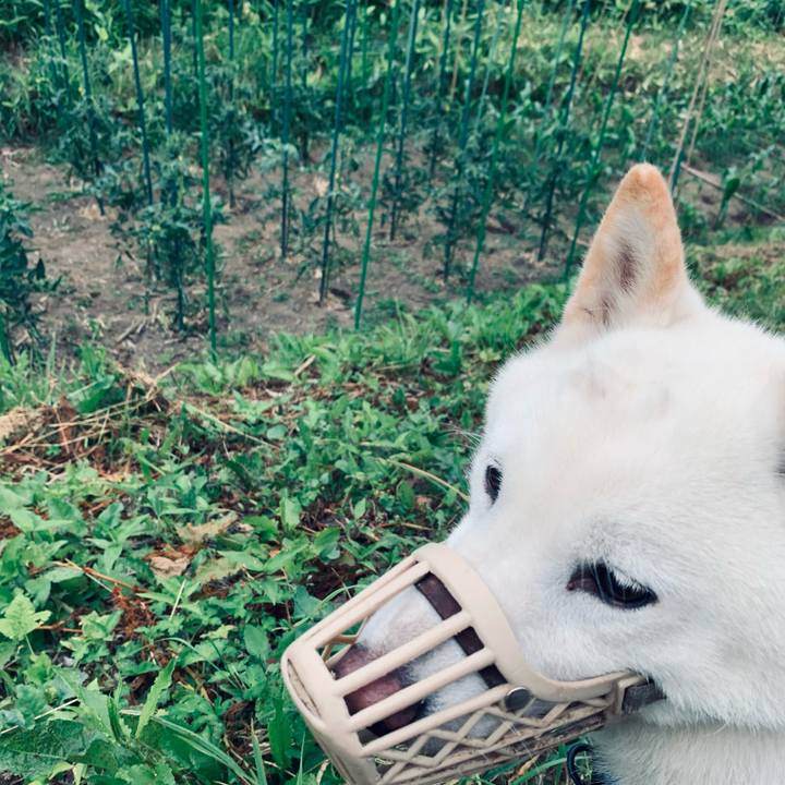 099efb6b beb2 4065 b639 5a2cd1a1bdc2 1625170684024