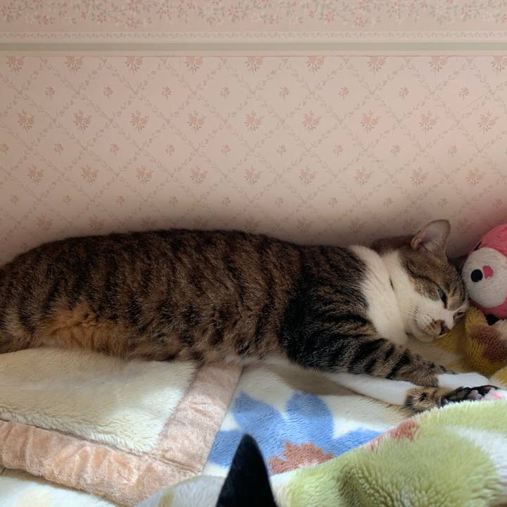 099f04bb f189 40e1 95f1 d6c9daef1aef 1621128812252