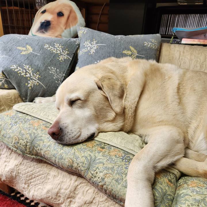 099f1568 d289 4c72 a7c5 315fc1bd4bea 1764730996516