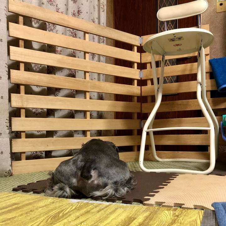 099f28b0 4109 4f83 906f d07c6f3ae59d 1687132237927