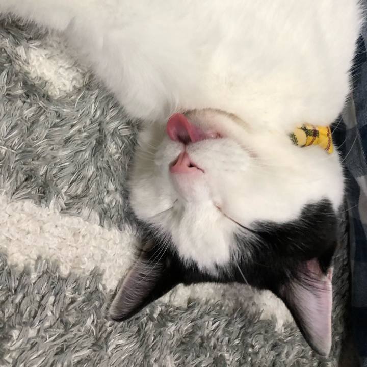 099f4903 d909 42c6 8f38 780d73a3ecb2 1550417680748