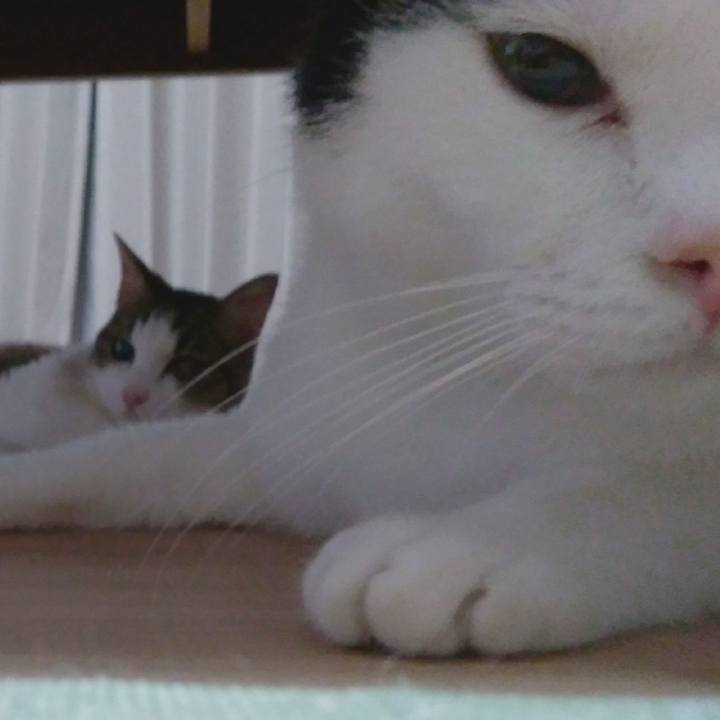 099f7526 9c72 4a77 bf4b 35dc8f379583 1534159749004