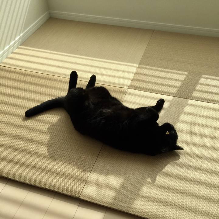 099fabe7 ae7d 434c 8152 eab304200878 1566627576896