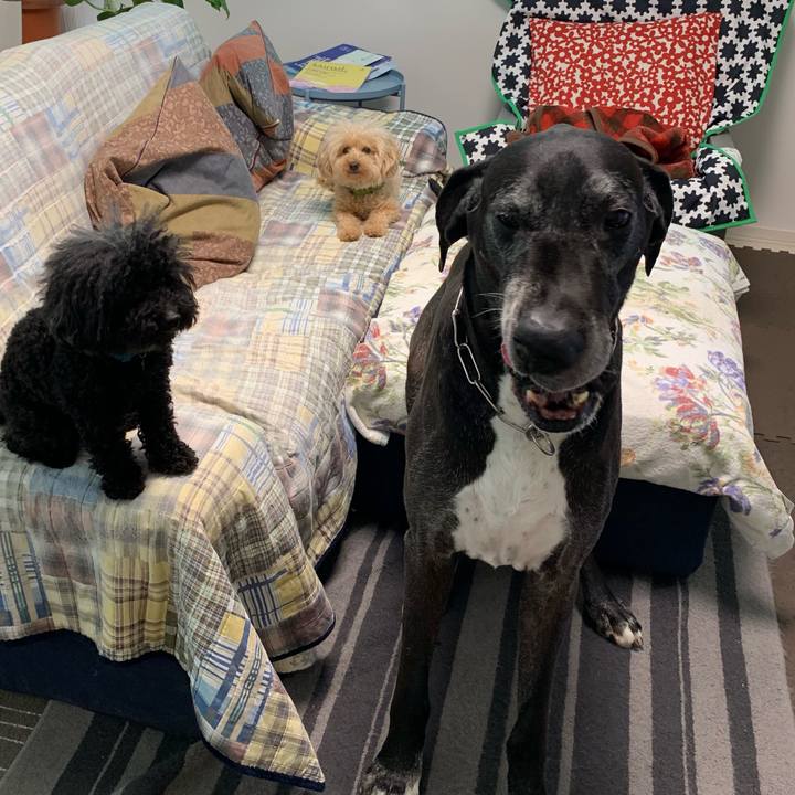 099fc22e 6c46 46f9 97e0 f15832720df2 1560465202083