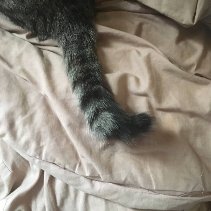 09a0205f 5bc3 4bd8 a790 626bed4d1cd2 1541645394001