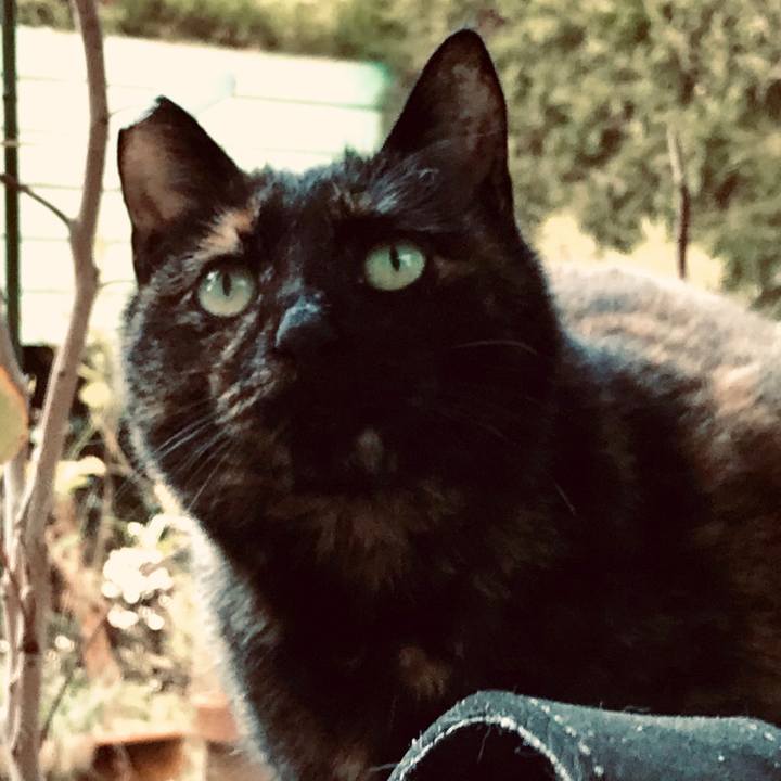 09a0358d 088c 4eba a852 e7e4640d03e1 1543118206282