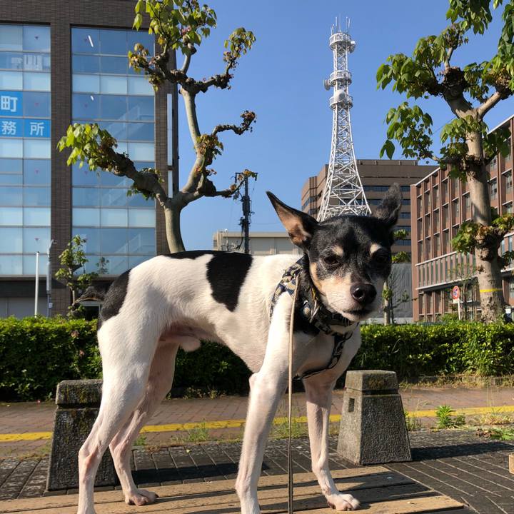 09a062e5 be39 42b5 8a7e 629b33aebf86 1525610568595