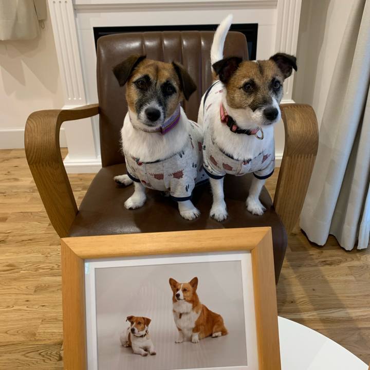 09a06449 d033 4ee1 b6a9 e3d15a365bbf 1600056881776