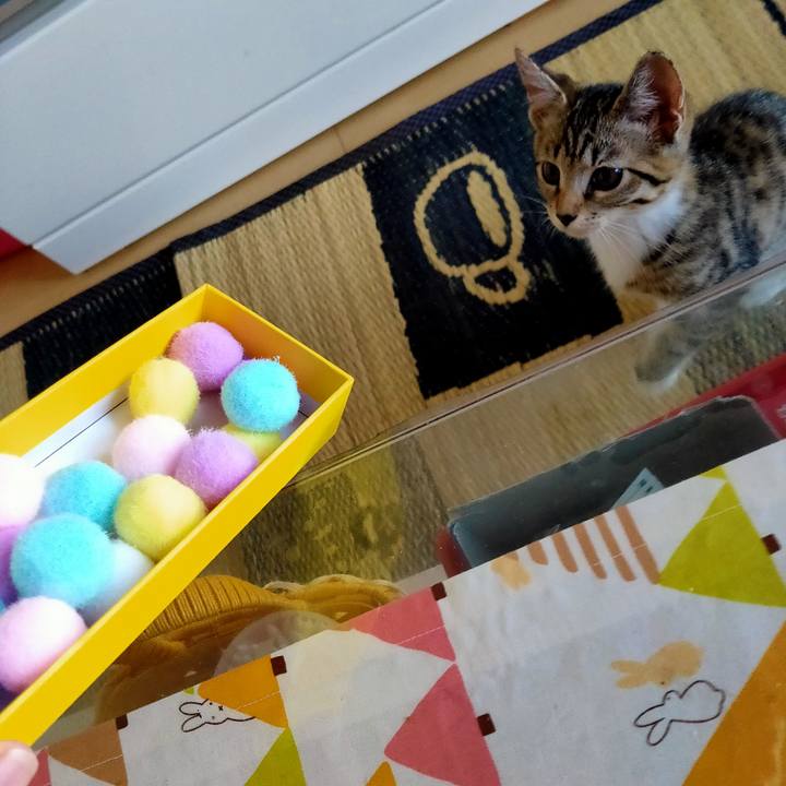 09a08c76 39eb 41b4 9e27 d106c68c7479 1626390179315