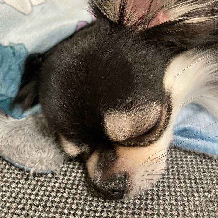 09a09e9d ef06 4242 be7d 194842b2b5db 1644072063464