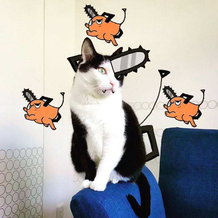 09a0d2da afc3 4798 8371 71c064e9c641 1670233217557