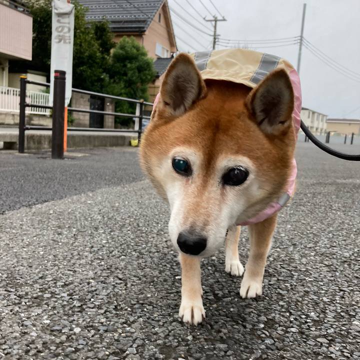 09a15e38 fd46 450b ab77 335408c23262 1665653825304