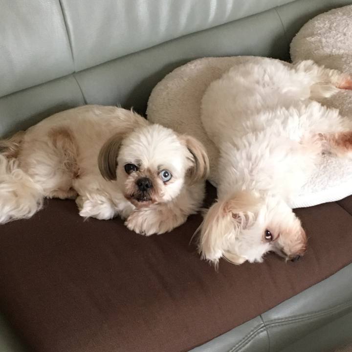 09a17374 921e 44e4 bea6 523743afb71c 1625549890012