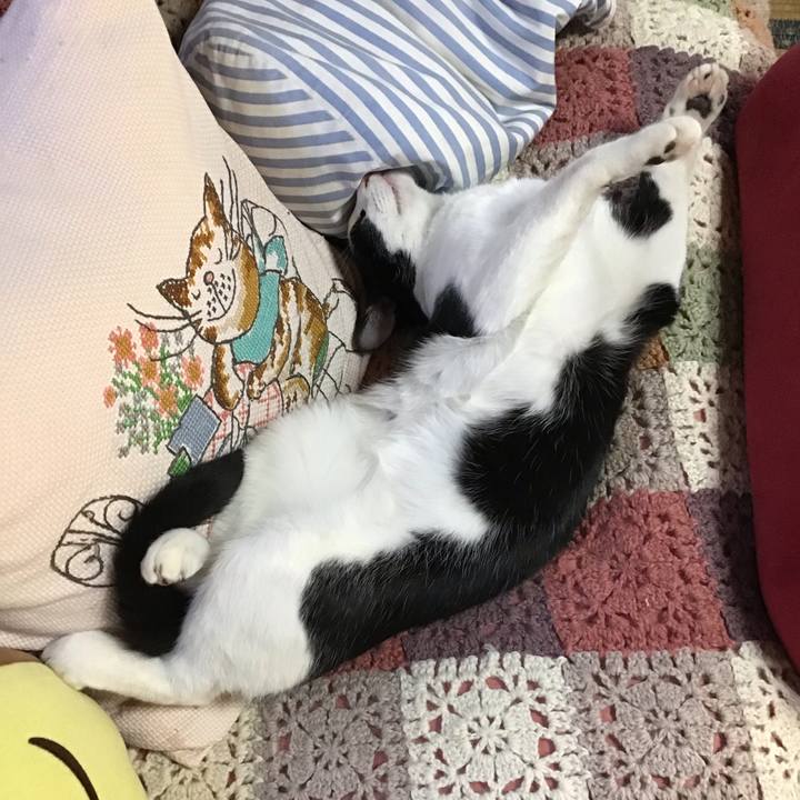 09a190b2 5478 4825 a2a6 19d40e3ff183 1638685887936